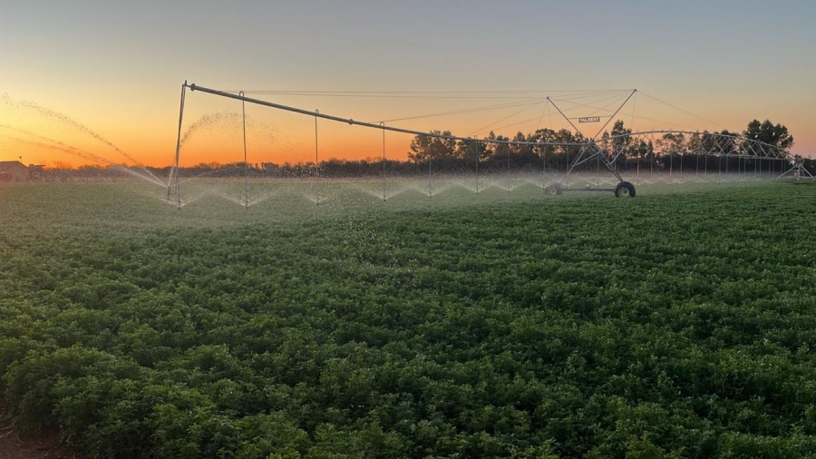 Commercial Property for Sale in Arcadia SH Free State